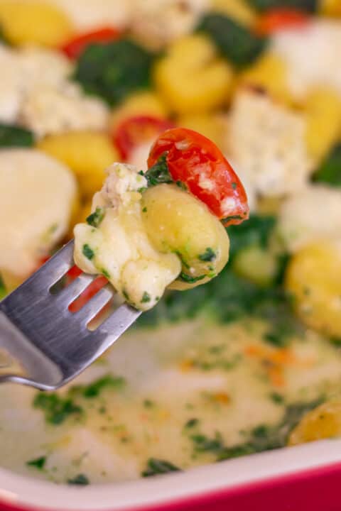 Gnocchi Auflauf mit Spinat, Tomate und Mozzarella