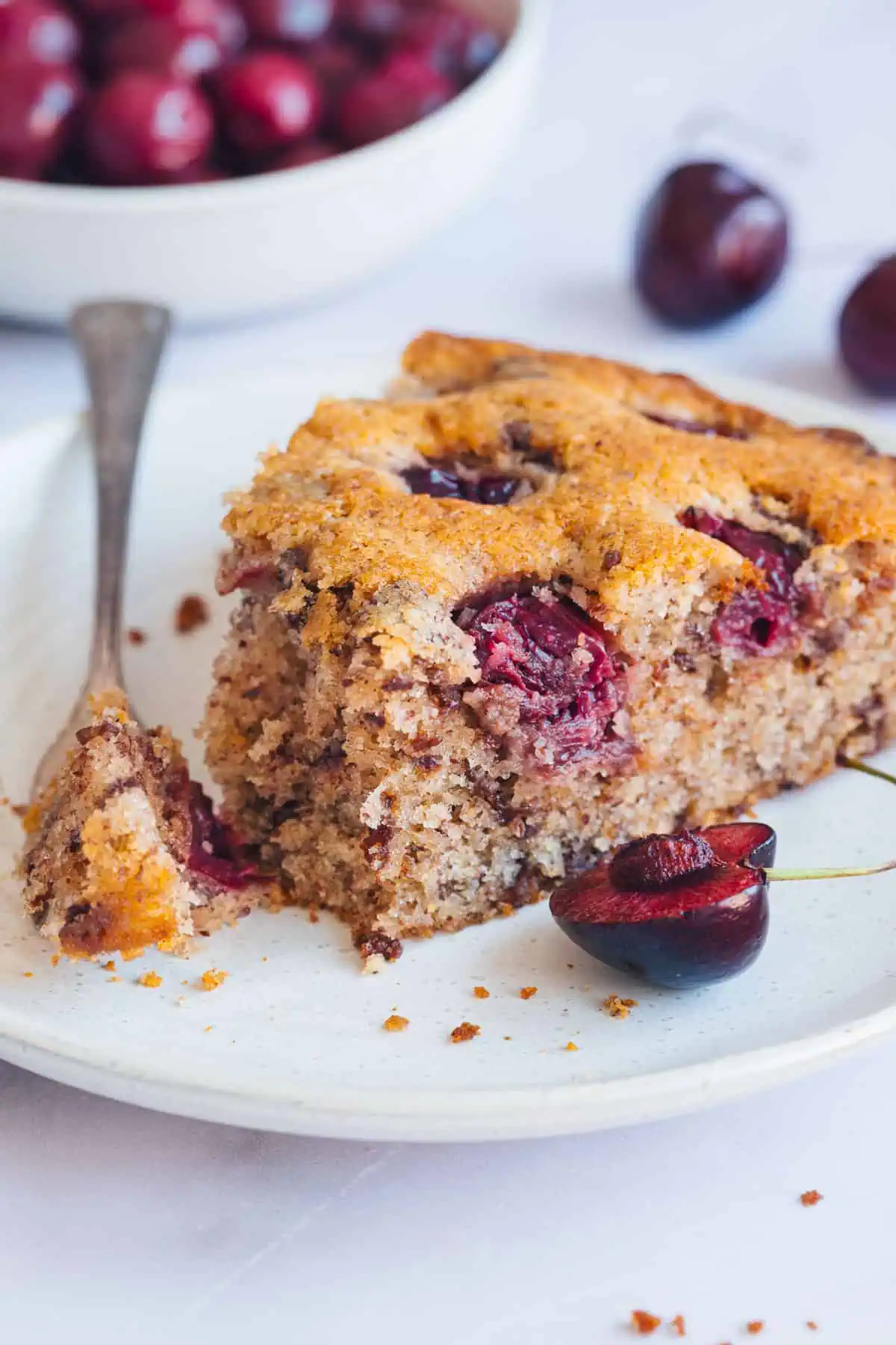 Nahaufnahme von einem Stück saftigen Schoko Kirsch Nuss Kuchen.